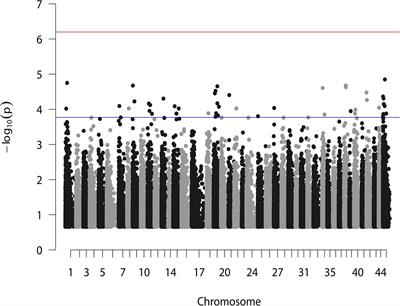 Identification of Growth-Associated Genes by Genome-Wide Association Study and Their Potential Application in the Breeding of Pacific White Shrimp (Litopenaeus vannamei)